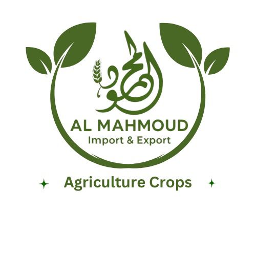 Almahmoud logo