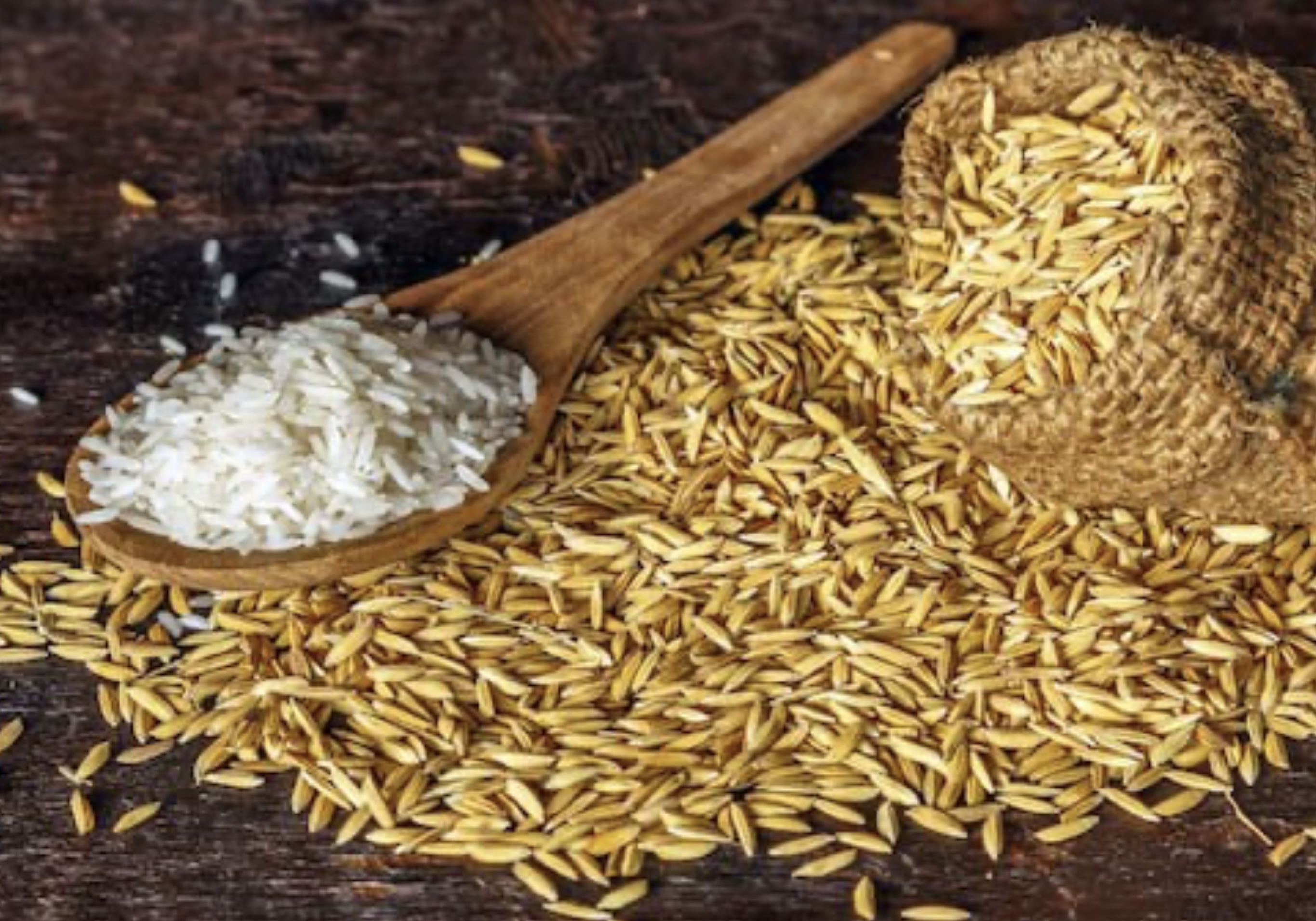Need 300 MT of Basmati Rice (1121)